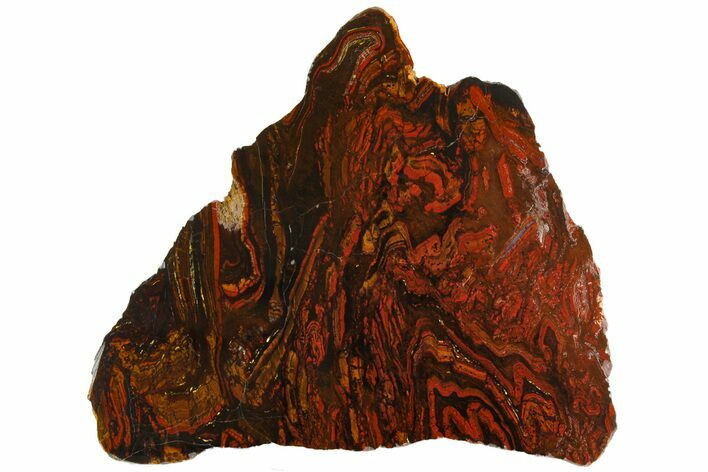 Polished Tiger Iron Stromatolite Slab - Billion Years #161891
